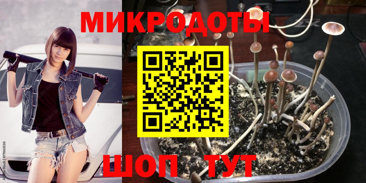 Псилоцибиновые грибы Magic Shrooms Острогожск
