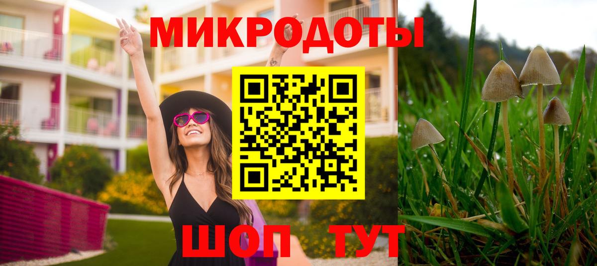 Галлюциногенные грибы Psilocybe  Вход с VPN  Острогожск 